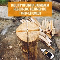 Изображение STIHL VIKING