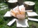 Новость STIHL VIKING