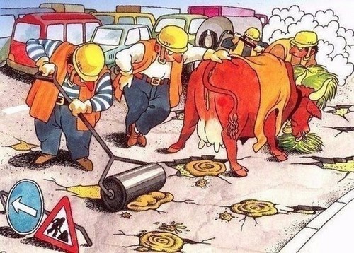 Автоледи женская