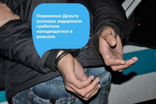 Картинка Дельта системы безопасности