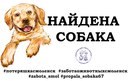 Для Классики, детский центр