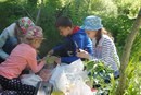 Изображение Коробка с карандашами, творческая мастерская