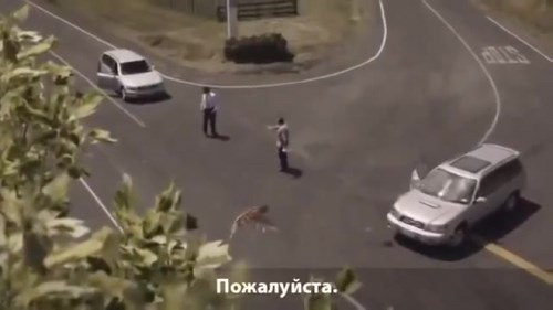 Картинка Смоленская автошкола