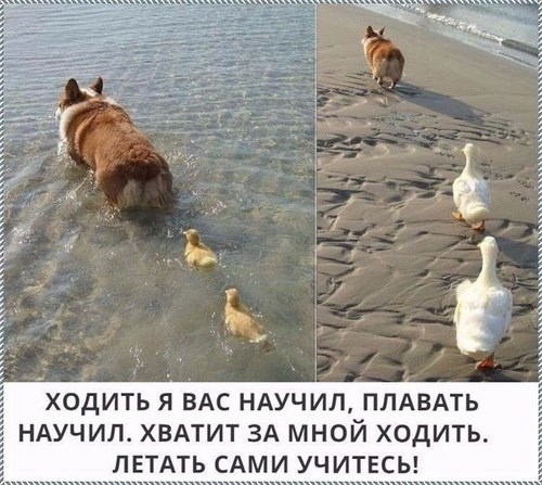 Новость Смоленский юридический колледж Смоленск
