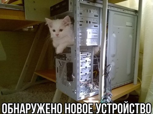 Новость Связной